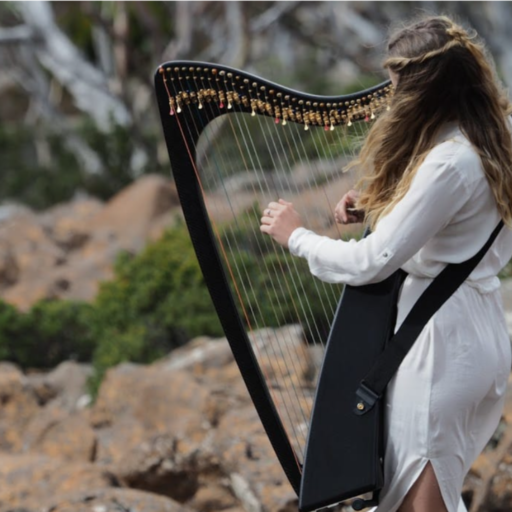 Lady with long hair playing a large harp surrounded by rocks trees and shrubs